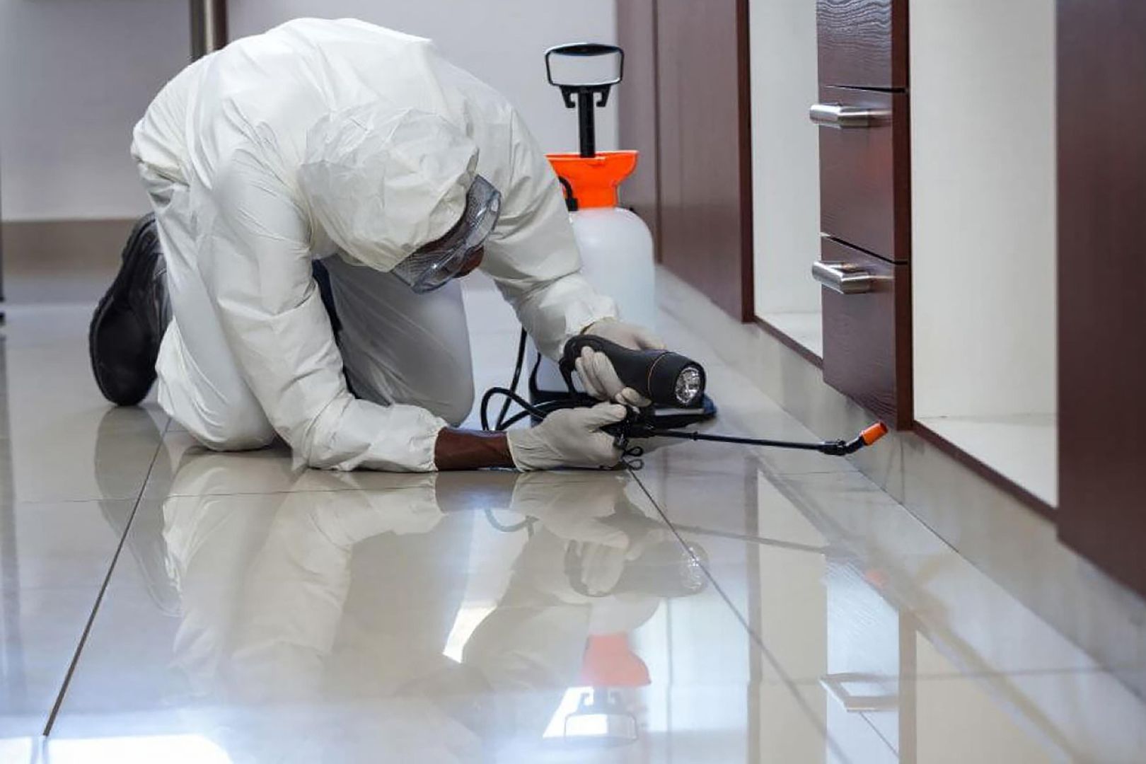 Como Escolher Dedetizacao Mensal ou Trimestral