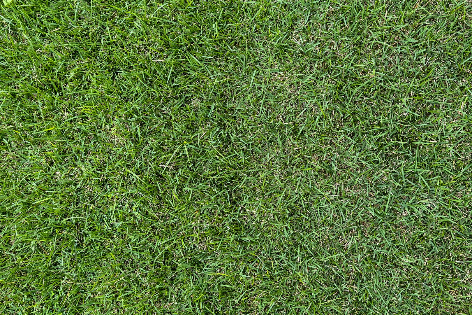 Como Deixar Grama Sintetica Mais Natural