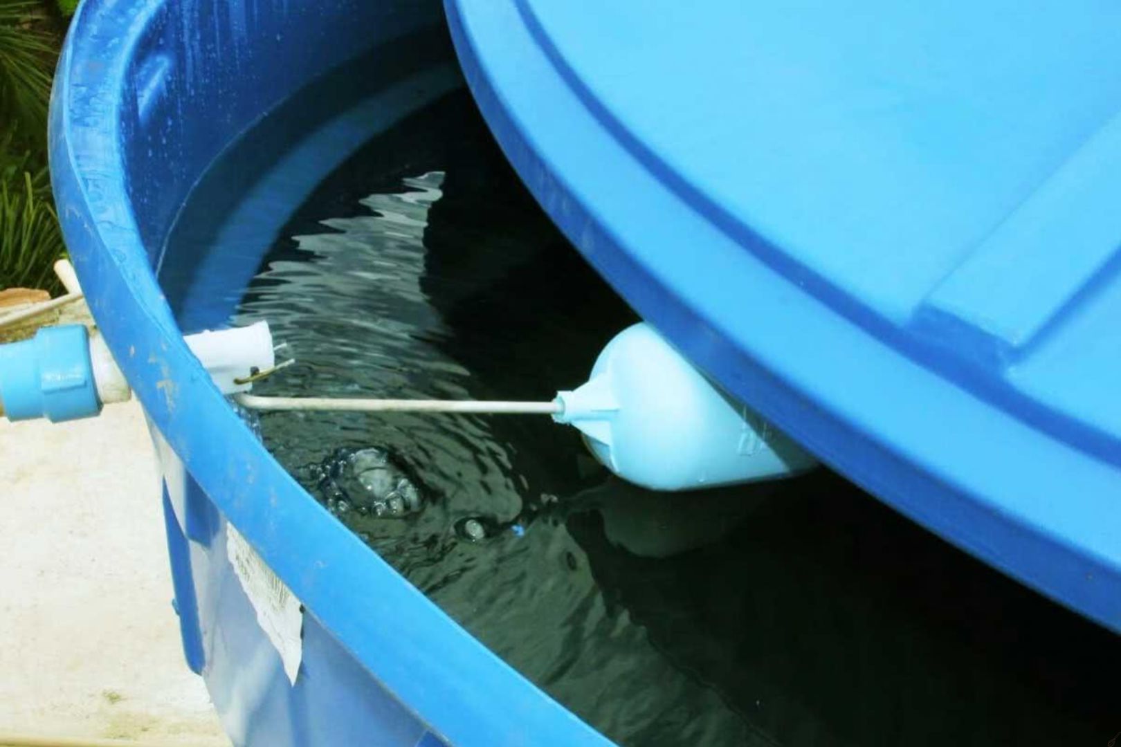 Como evitar contaminacao da caixa de agua